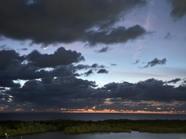 Natures display of powder